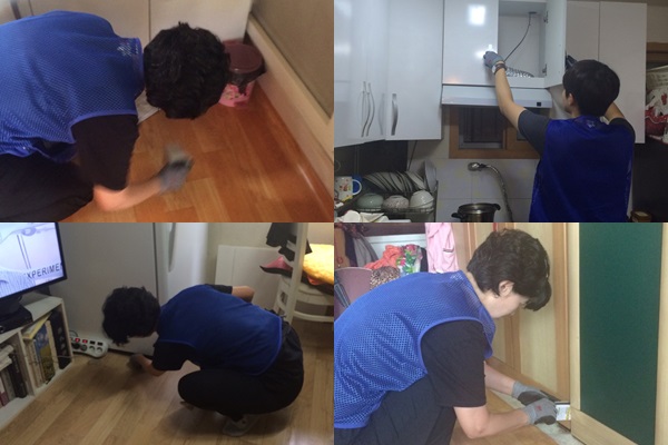 3차 방역서비스